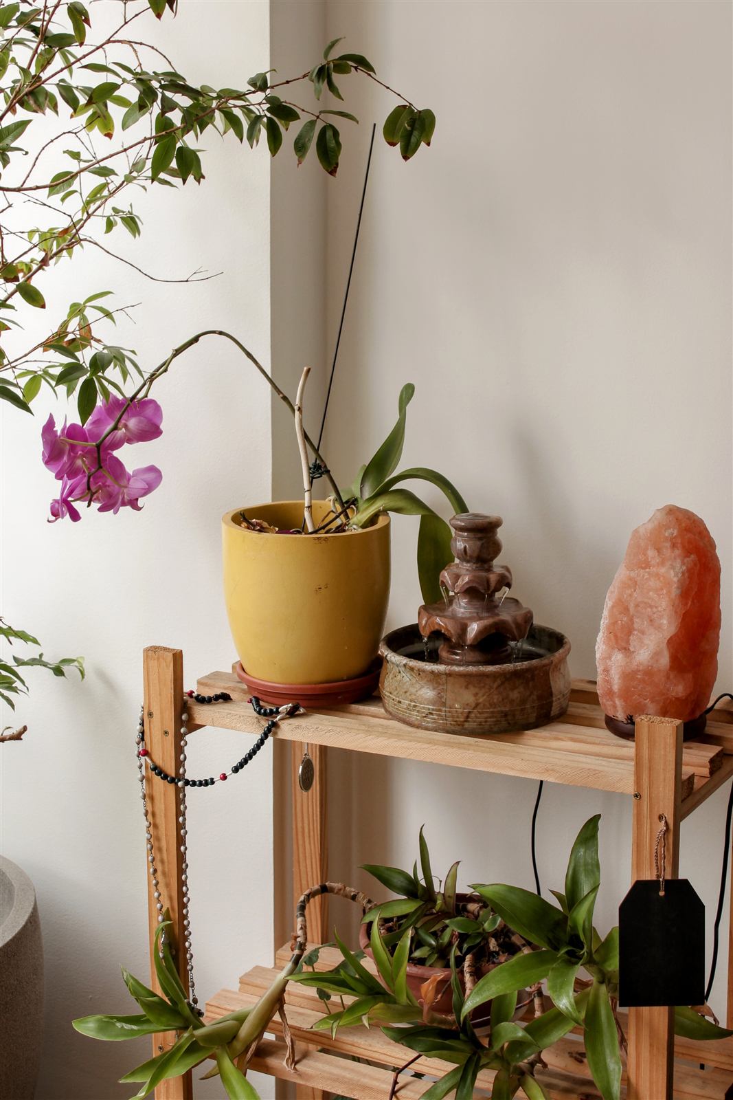 Foto 4 da mentoria integrativa Conquiste o Equilibrio